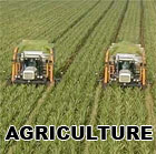 Agriculture